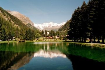 Flora e fauna - Lago