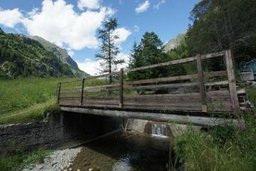 Flora e fauna - Ruscello