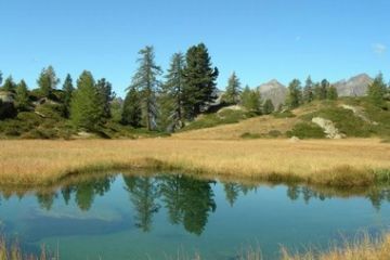 Flora e fauna - Valle dei principi