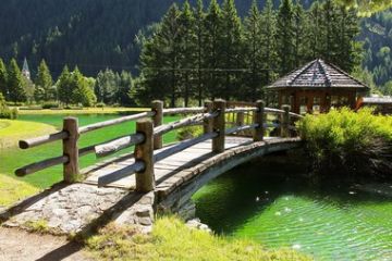 Flora e fauna - Ponticello sul Lago Gover